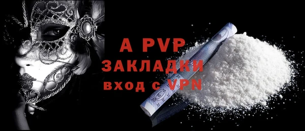 тгк Новодвинск