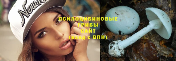 сатива Новозыбков