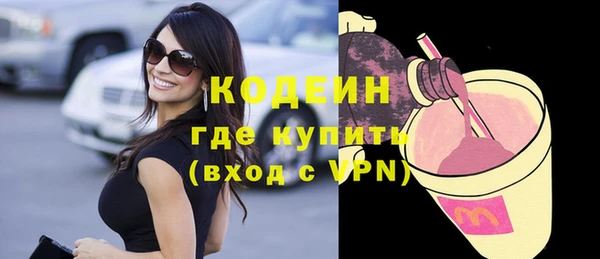 сатива Новозыбков