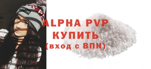 сатива Новозыбков