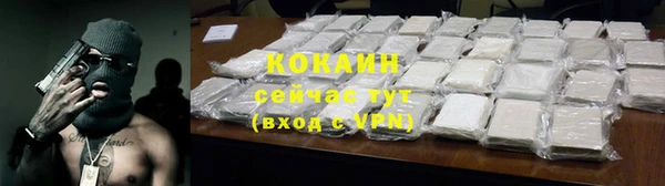 прущие грибы Няндома