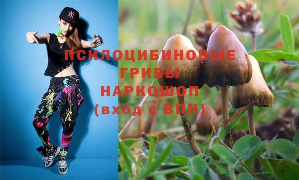 тгк Новодвинск