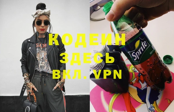 прущие грибы Няндома
