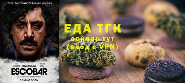 тгк Новодвинск