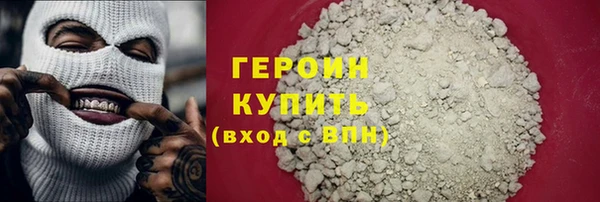 сатива Новозыбков
