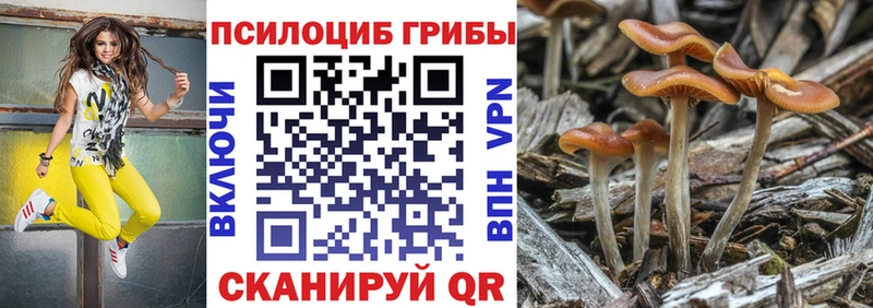 дарнет шоп Петровск-Забайкальский Галлюциногенные грибы Cubensis